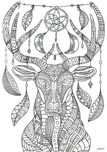 Cerf Attrape Rêves Complexe