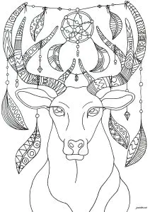 Cerf Attrape Rêves