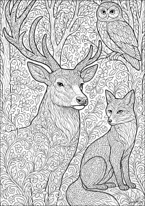 Rencontre enchantée dans une forêt mystérieuse