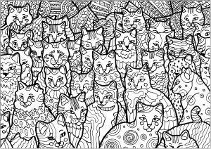 Coloriage plein de chats