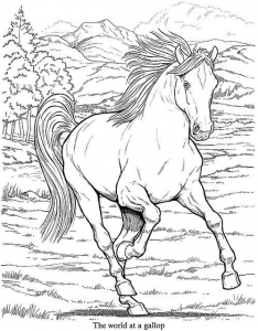 coloriage-adulte-animaux-cheval