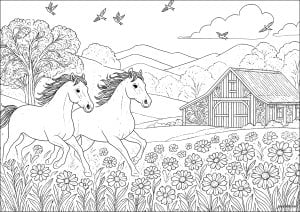 Promenade de chevaux au printemps