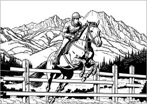 Jockey Et Son Cheval Sautant Une Haie