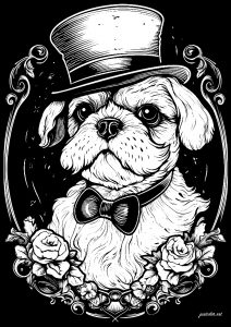 Coloriage chien avec un chapeau isa