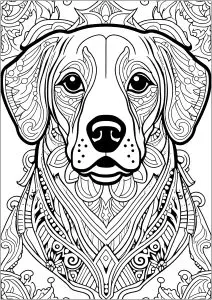 Chien Avec Jolis Motifs