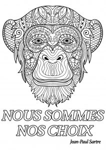 Nous Sommes Nos Choix   Jean Paul Sartre