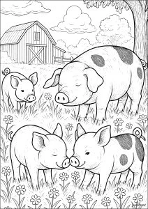 Vie paisible à la ferme