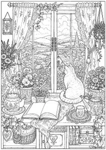 Sérénité : chat à la fenêtre