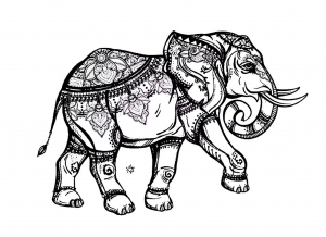 coloriage-elephant-elegant