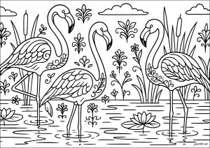 Élégance des Flamants Roses