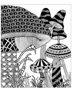 coloriage-adulte-champignons-fantastiques