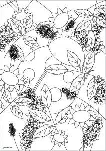 Feuilles