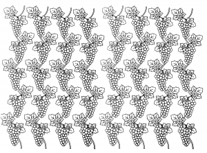 Coloriage grappes raisin