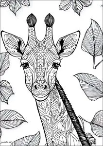 Belle Girafe Avec Fond Composé De Feuilles