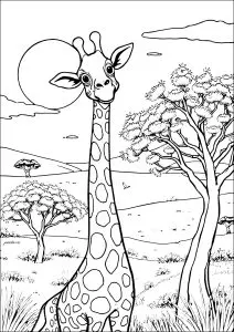 Girafe Rigolote Dans La Savane
