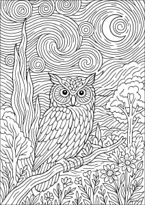 Chouette sur une branche sous la lune