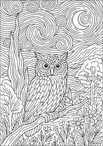 Chouette sur une branche sous la lune. Majestueuse chouette perché sur une branche avec un ciel tourbillonnant et étoilé (à la manière de Van Gogh - Nuit étoilée) en arrière-plan.