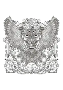 Hibou Avec Motifs Complexes