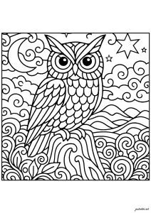 Hibou majestueux sous un ciel étoilé