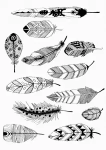 Plumes Par Pauline