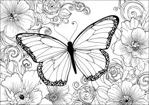 Joli papillon et fleurs