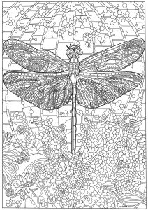 Libellule et nombreux détails complexes