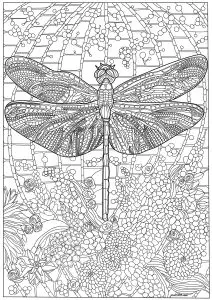 Libellule Et Nombreux Détails Complexes