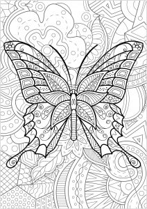 Papillon avec fond fleuri - 3