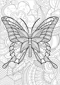 Papillon Avec Fond Fleuri   3