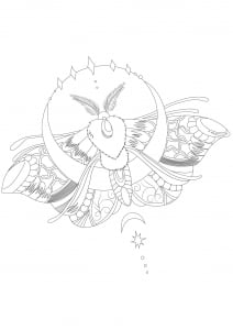 Coloriage papillon de nuit