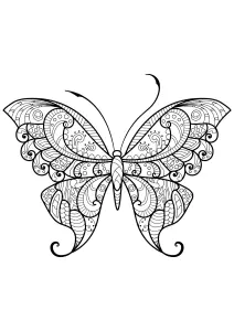 Papillon Jolis Motifs 12