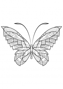 coloriage-papillon-jolis-motifs-17