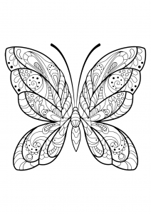 coloriage-papillon-jolis-motifs-2