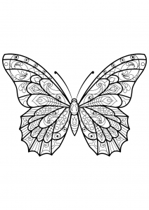 Coloriage papillon jolis motifs 3