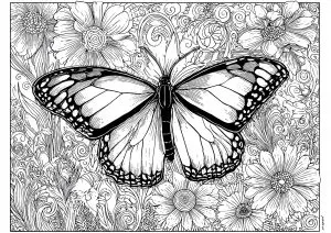 Papillon majestueux et belles fleurs