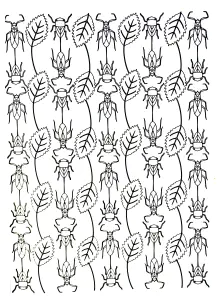 Scarabees Et Feuilles