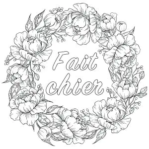 Gros Mots à Colorier  Pour Décompresser  : Fait Chier
