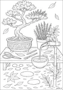 Art du Bonsai dans un Jardin Japonais