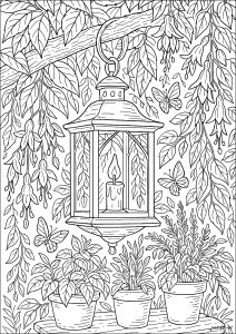 Lanterne suspendue au jardin secret