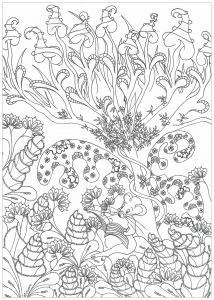 coloriage-Forêt-enchantée-par-Mimieve