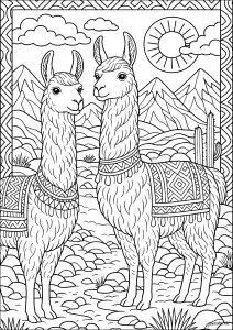 Jolis lamas dans les Andes