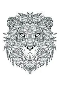 Magnifique tête de lion aux motifs complexes et harmonieux