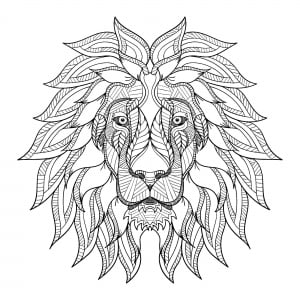 Coloriage tete de lion et criniere