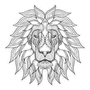 Tête De Lion Et Jolie Crinière