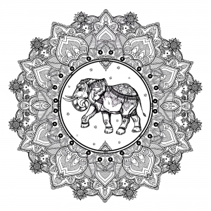 coloriage-adulte-mandala-elephant-123rf