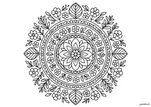 Mandala floral aux motifs détaillés