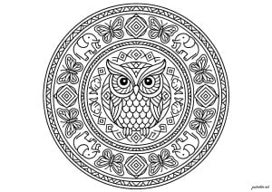 Mandala avec Hibou
