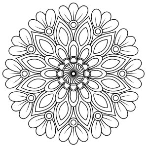 Mandala Végétal Simple Avec Feuilles