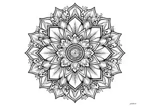 Mandala complexe avec des feuilles et pétales