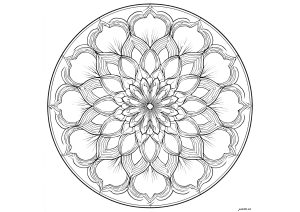 Joli Mandala avec de grands pétales